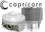 Parti del motore ad alte prestazioni (Capricorn)