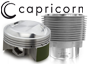 Parti di ricambio del motore (Capricorn)