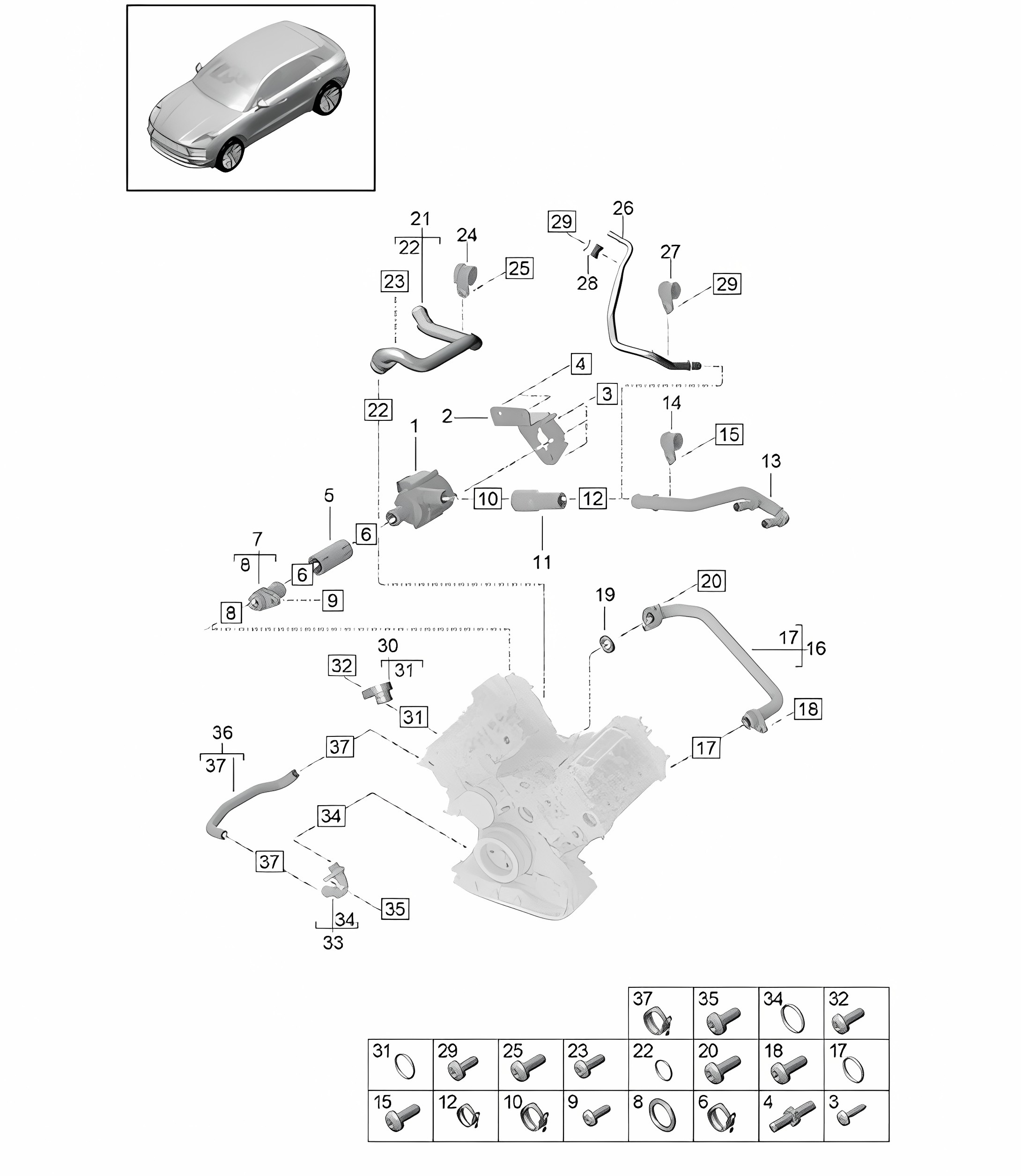 Coolant cooling system - Model: DLZ,DLZB, DGR,DGRB, DGR,DGRC - 95B (II / III) Macan 2.9L / 3.0L 2019 - 2024