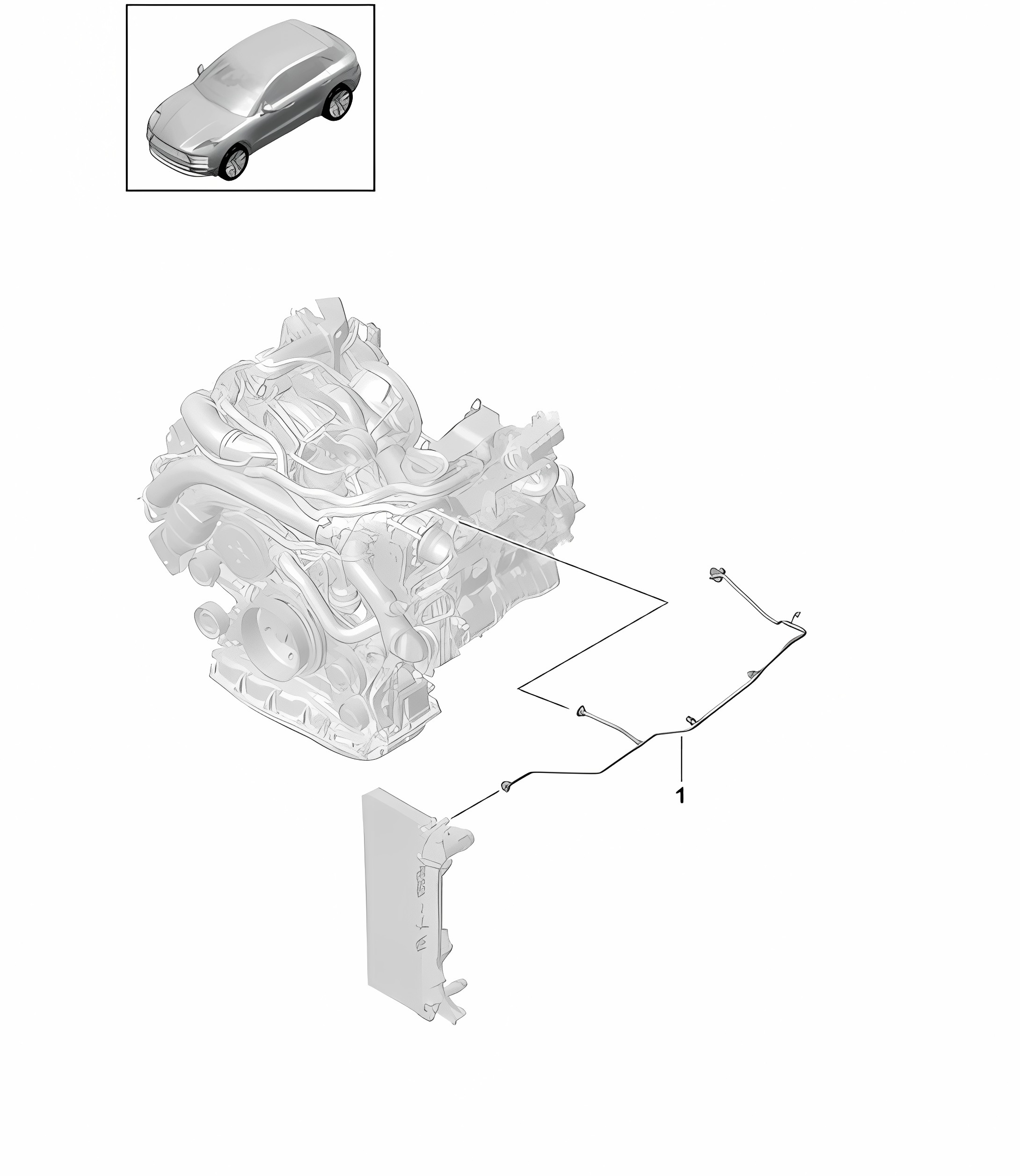 Coolant coling system / Breather line - Model: DLZ,DLZB, DGR,DGRB, DGR,DGRC -  95B (II / III) Macan 2.9L / 3.0L 2019 - 2024