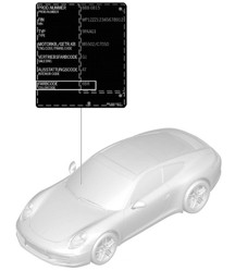 Applicator voor het bijwerken van verf / Paints 991.1 2012-16