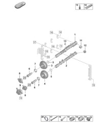 Árbol de levas / Ajuste del árbol de levas 992.1 Carrera 2019 - 2024