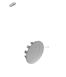 Hub cap  992.1 Carrera 2019 - 2024