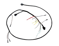 Frontlichtkabelbaum. Porsche 911 1971-73 - 91161200301 - PS9268, 1699900910