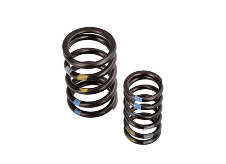 Valve Spring Set. Porsche 997 GT3 3.8L / 4.0L M97.77 / M97.74 2007-11 - 99710509396
