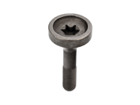 Vite Torx pignone camma scarico M12x1,5x60. Porsche 987.2 / 981 / 997.2 / 991.1 - 9A110525502, 9A110525501 Vite Torx pignone camma scarico M12x1,5x60. Porsche 987.2 / 981 / 997.2 / 991.1 - 9A110525502, 9A110525501
