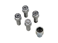 Kit bullone ruota di bloccaggio M14 x 1,25 Lunghezza: 50,5 mm per Porsche - 27226SU Kit bullone ruota di bloccaggio M14 x 1,25 Lunghezza: 50,5 mm per Porsche - 27226SU
