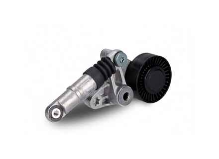 Rodillo tensor de correa y amortiguador. Porsche 957 Cayenne Diesel - 95510236110 - 534009810