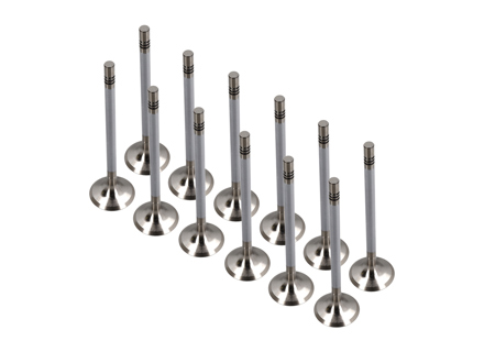 Kit de válvulas de escape de culata de motor. Porsche 987 Boxster 2.7L / 987C Cayman 2.7L - 98710511600 - 503 VA 32009 000