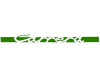 'CARRERA' side decal, in Green. Porsche 911 Carrera 2.7 - 91155903400, 91155903401, 91155903402, 91155903403, 91155903404 'CARRERA' side decal, in Green. Porsche 911 Carrera 2.7 - 91155903400, 91155903401, 91155903402, 91155903403, 91155903404