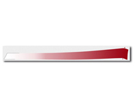 Decorative foil, rear, in Indian Red for Porsche 996 GT3 RS - 99655933592, 99655933692, 99655933690 Decorative foil, rear, in Indian Red for Porsche 996 GT3 RS - 99655933592, 99655933692, 99655933690