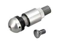 Reifendruckkontrollventilschaft. Porsche 997 / Boxster / Cayman / Cayenne / Panamera - 95536105300, 9P1601361C, 9P1601361A, 73902021, 9P1601361D, 9P1601361D/1, N90872901 - RDV021