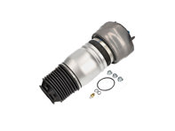 Shock absorber spring, Front (Air Suspension type). Porsche 970 Panamera (OE NO 97034315106 / 97034315206) - 97034315102, 97034315101, 97034315100, 97034315202, 97034315201, 97034315200, 97034315103, 97034315203, 97034305115, 97034305117, 97034305122, 97034305107, 97034305108, 97034305109, 97034305110, 97034305111, 97034305112, 97034305114, 97034305116, 97034305118, 97034305120, 97034305121, 97034305123, 97034315104, 97034315106, 97034315204, 97034315206 - DAS10212, DAS10213