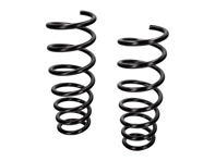 Schroefveren VOOR, SET VAN 2. Porsche 991 C4 / C4S 2012-19 - 99134353125504, 99134353131504 - 102344