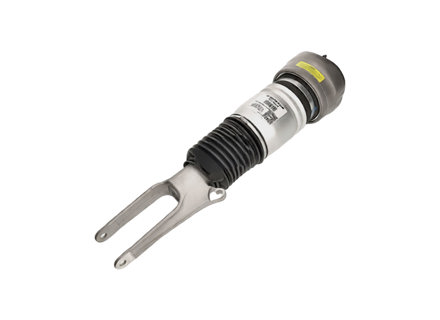Ammortizzatore a sospensione pneumatica anteriore. Porsche 970 mk2 Panamera 2014 - 2016 - 97034305234, 97034305235, 97034305237, 97034305134, 97034305135, 97034305137 - DAS10214, DAS10215