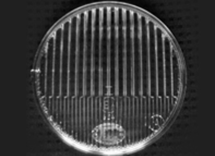 Lente per fendinebbia supplementare. Porsche 911 65-77 - 90163121100 Lente per fendinebbia supplementare. Porsche 911 65-77 - 90163121100