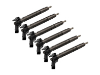 Hochdruckeinspritzventil 6er SET. Porsche 958 Cayenne Diesel 3.0L 2012>> - 95811012811, 95811012810, 0870218, 0445117021