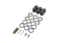 Hochleistungs-Bremssattel-Kolben- und Dichtungssatz 30 mm für die Vorderachse. Passend für Porsche 991 GT3 / GT3 RS - 99135191380 - 673008