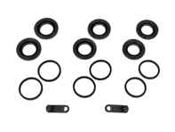 Front Caliper Seal and Dust Cover Kit for 6 Piston Calipers. Porsche 718 Boxster / Cayman / 991 / 992 - 9P1698671, 9P1698671A, 9P1698671B - 230047