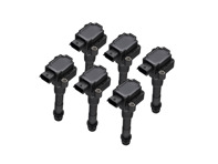 Bobinepakketten (6-PACK). Porsche 996 / Boxster 986 / Boxster 987 / 996 GT3 MKII - 99760210400, 99760210402, 99660210400, 99760210404, 99760210400, 0986221119 - ZS178, ZS178 Bobinepakketten (6-PACK). Porsche 996 / Boxster 986 / Boxster 987 / 996 GT3 MKII - 99760210400, 99760210402, 99660210400, 99760210404, 99760210400, 0986221119 - ZS178, ZS178