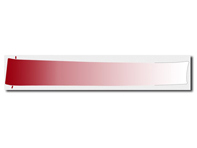 Decorative foil, front, in Indian Red for Porsche 996 GT3 - 99655933192, 99655933190, 99655933292, 99655933290 Decorative foil, front, in Indian Red for Porsche 996 GT3 - 99655933192, 99655933190, 99655933292, 99655933290