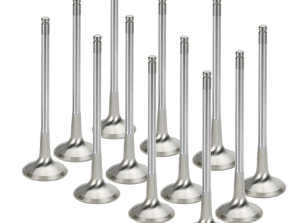 Engine cylinder head inlet valve set. Porsche 957 Cayenne 3.6ltr - 95510560100, 95510560110 - I01015015 Engine cylinder head inlet valve set. Porsche 957 Cayenne 3.6ltr - 95510560100, 95510560110 - I01015015