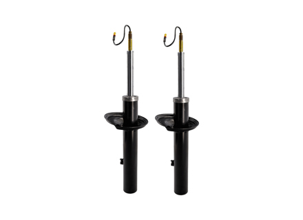 Shock Absorbers (PAIR), Rear. Porsche 982 Boxster / Cayman (718) 2017>> - 982513031F, 982513031A, 982513031D