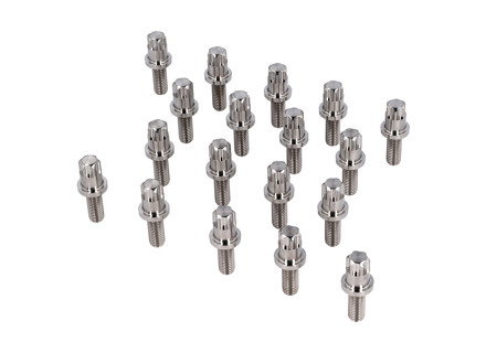 Collettore di scarico Set bulloni in titanio M8x21 per Porsche 986 / 996 / 987.1 / 987.2 / 997.2 / 981 / 991 / GT4 - 99907353501, 99907347101, 99907353502 Collettore di scarico Set bulloni in titanio M8x21 per Porsche 986 / 996 / 987.1 / 987.2 / 997.2 / 981 / 991 / GT4 - 99907353501, 99907347101, 99907353502