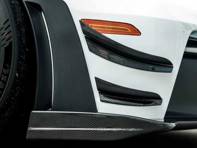 Duikvlakset met dubbele elementen van droog koolstofvezel. Porsche 992.1 GT3 RS - SRGT3DPPK