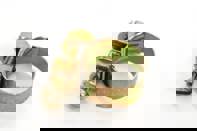 Abrazadera para manguera de combustible y aire. Porsche 911 / 964 / 993 / 914 / 924 / 944 / 968 / 928 - PCG0235692, N  0235692, N0235692