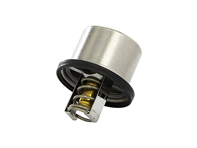 Inserto termostato, 82°C. Porsche Carrera GT 2003-06 - 9971062258A, 98010612501, 98010612503 - 27705