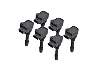 Bobines set van 6 Porsche Macan / Cayenne / Panamera - 94660210400, 94660210401, 94660210402, 94660210403, 9466021040, 94660210404