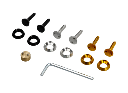 Bulloni targa antifurto Richbrook - 100060