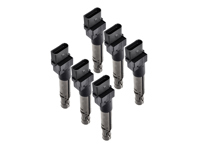 Zündspulenpaket. Porsche Cayenne 955 V6 / Cayenne 957 V6 - 95560210105, 0040102044, 40102041, 95560210100, 95560210101, 95560210102, 95560210103, 95560210104, 95560210105, 95860210100 - ZSE044, ZSE044