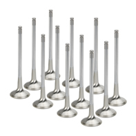 Set valvola di scarico testata motore. Porsche 957 Cayenne 3,6 litri - 95510531200, 95510531210 - I01015016 Set valvola di scarico testata motore. Porsche 957 Cayenne 3,6 litri - 95510531200, 95510531210 - I01015016